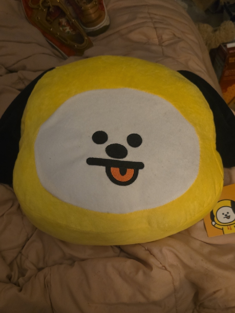 BT21 Medium Chimmy Plush
